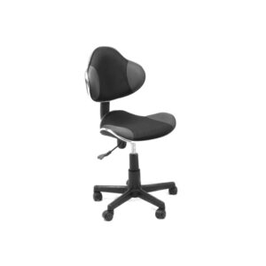 Cannes | Secretarial chair - Gray - AM160GEN96