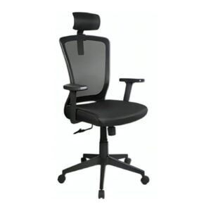 Xtech Avignon | Executive office chair XTF-OC414