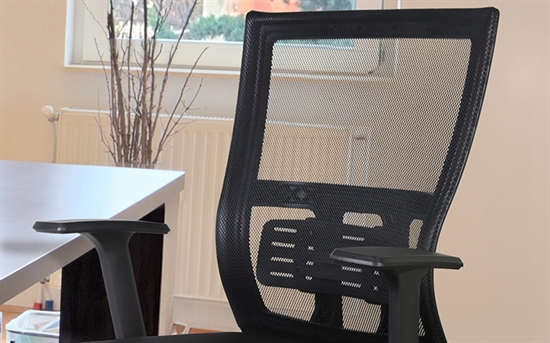 Xtech Fazzina | Executive office chair XTF-OC413 - Image 3